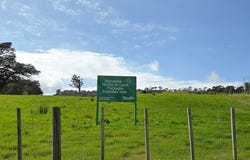 11 Davidson Road, Waimauku, Rodney