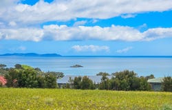 8 Freyja Crescent, Coopers Beach, Far North