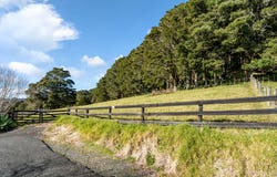 34 Dalkeith Drive, Kauri, Whangarei