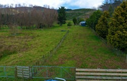 Levin, Horowhenua