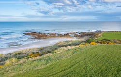 Brighton, Dunedin City