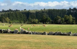 18 Meadowlinks Lane, Pleasant Point, Timaru