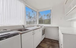 Caversham, Dunedin City