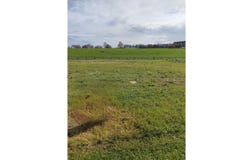 32 Frontier Road, Te Awamutu, Waipa