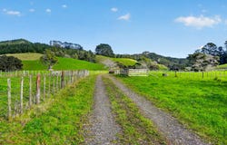 Kumeu, Rodney