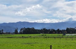 Featherston, South Wairarapa