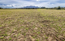Lot 13 Matapuna Road, Ohakune, Ruapehu