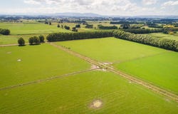 Setters Line, Newbury, Manawatu
