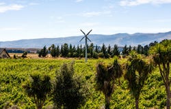 413 Maori Point Road, Tarras, Central Otago