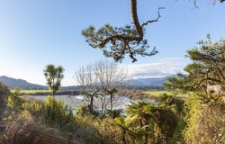217 Omoto Road, Greymouth, Grey