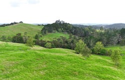 Wellsford, Rodney