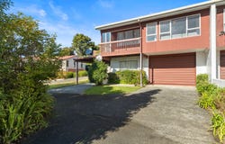Pukekohe, Franklin