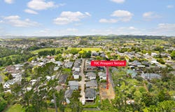 Pukekohe, Franklin