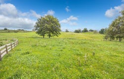 2 Pine Road, Lichfield, South Waikato