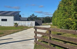 Riverlea Downs, Broadlands Forest, Taupo