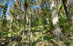 34 Dalkeith Drive, Kauri, Whangarei