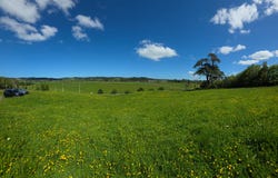 11 Davidson Road, Waimauku, Rodney