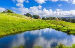 118 Paparoa Station Road, Paparoa, Kaipara