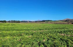 North Otago Surrounds, Waitaki