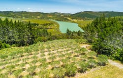 2884A State Highway 10, Mangonui, Far North