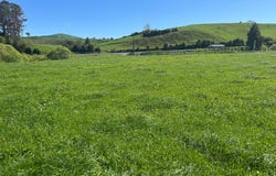 Pirongia, Waipa
