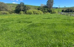 Pirongia, Waipa