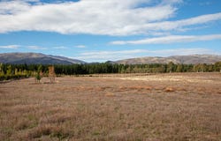74 Stone Drive, River Terrace, Cromwell, Central Otago