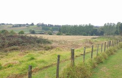 166 Top Road, Dairy Flat, Rodney