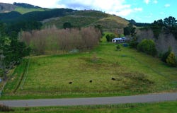 Levin, Horowhenua
