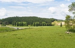River Road, Otane, Central Hawkes Bay