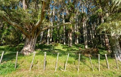 34 Dalkeith Drive, Kauri, Whangarei