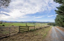 Fairlie, Mackenzie