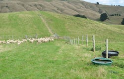 492 Moonshine Hill Road, Moonshine Valley, Upper Hutt City