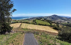 Green Island, Dunedin City