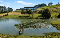 1120 Ararimu Road, Ararimu, Franklin