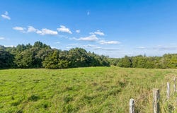 103 Lawrie Road, Snells Beach, Rodney