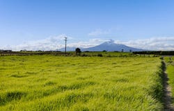 Opunake, South Taranaki