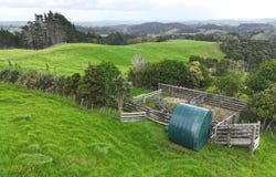 Wellsford, Rodney