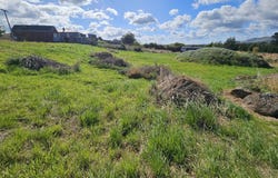 Clinton and Surrounds, Clutha
