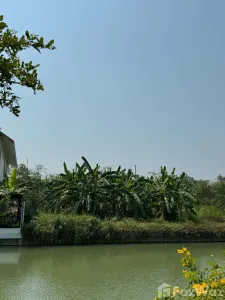 /international/th/kritsada-marina-hom-kret-sam-phran-nakhon-pathom-73110-thailand-sam-phran-changwat-nakhon-pathom-340066024913/
