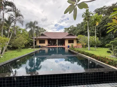 /international/th/7-1-1014-muthi-2-pa-pong-doi-saket-chiang-mai-50220-thailand-doi-saket-chiang-mai-province-340000146616/