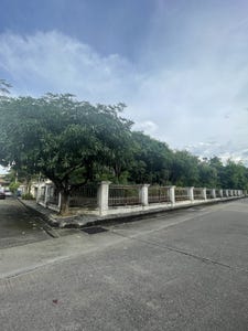 /international/th/41-3-kanchanaphisek-rd-bang-khae-nuea-bang-khae-bangkok-10160-tha-bang-khae-nuea-bangkok-340065940281/