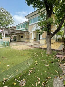 /international/th/solnista-co-ltd-lat-krabang-bangkok-10520-thailand-lat-krabang-bangkok-340065876109/