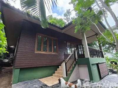 /international/th/pracharakpattana-maret-ko-samui-surat-thani-84310-thailand-ko-samui-surat-thani-340000048713/