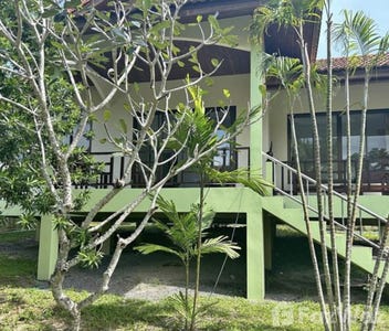 /international/th/chaithale-pracha-rak-mae-nam-ko-samui-surat-thani-84330-thailand-ko-samui-surat-thani-340000134699/