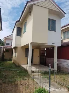 /international/th/125-7-liap-khlong-rangsit-prayun-sak-road-bueng-sanan-thanyaburi-pathum-thani-12110-thailand-thanyaburi-pathum-thani-340065957576/