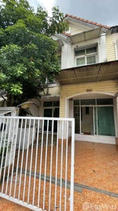 /international/th/49-rural-road-3017-lat-sawai-lam-luk-ka-pathum-thani-12150-thailand-lam-luk-ka-pathum-thani-340000149472/