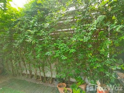 /international/th/39-14-soi-kamnanmaen-bang-wa-phasi-charoen-bangkok-10160-thailand-phasi-charoen-bangkok-340000040244/