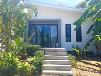 /international/th/ban-tonmai-villa-167-25-bo-phut-ko-samui-surat-thani-84320-tha-bo-phut-surat-thani-340000049584/