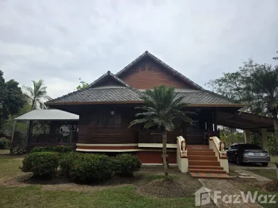 /international/th/63-soi-6-aram-muthi-5-talat-khwan-doi-saket-chiang-mai-50220-thailand-doi-saket-chiang-mai-province-340066024208/